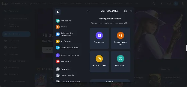 Outils de jeu responsable dans le compte Twin